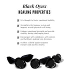 Rosec Jewels-Round Black Onyx Designer Trio Wedding Ring Set with Moissanite