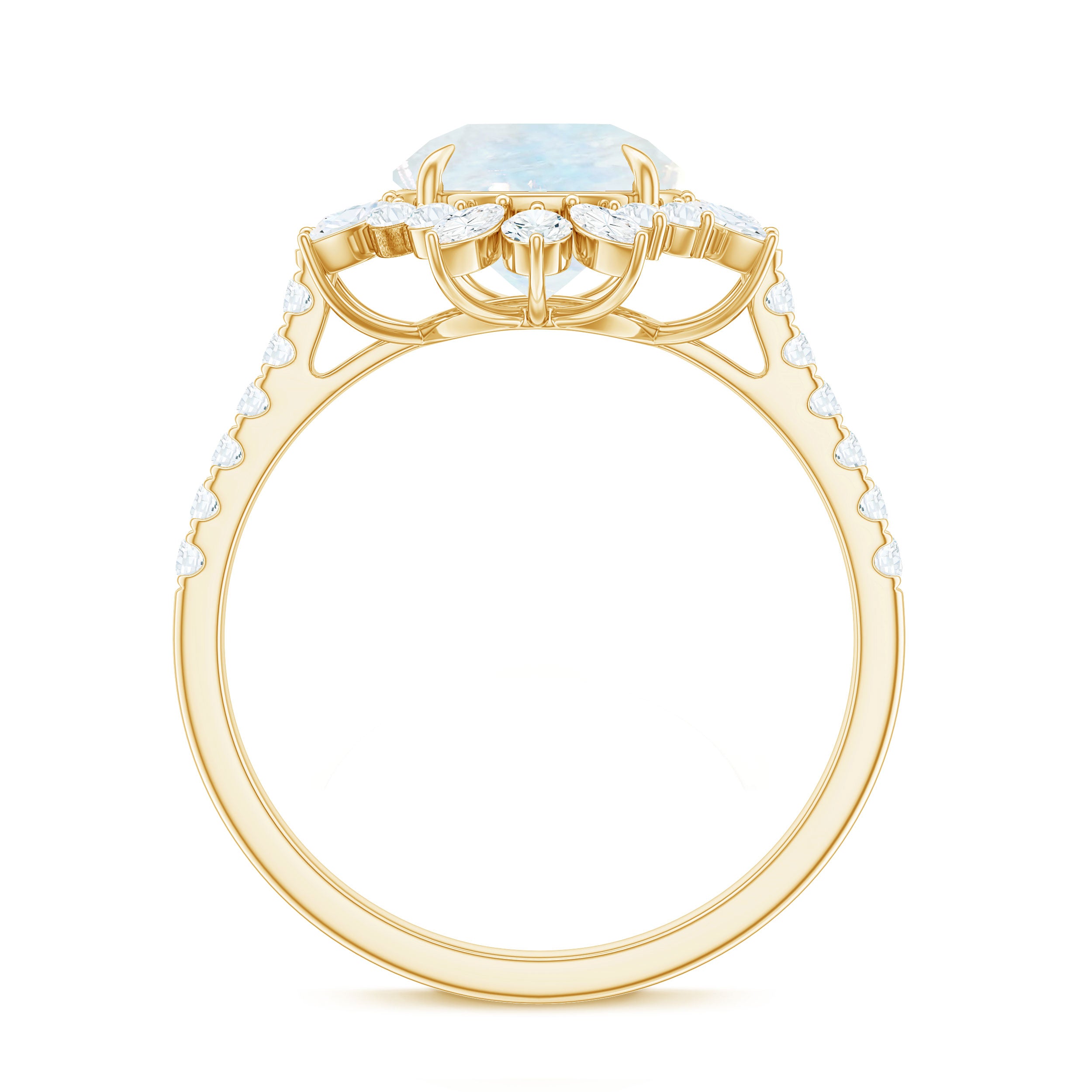 Rosec Jewels-Round Moonstone Statement Ring with Moissanite Floral Halo