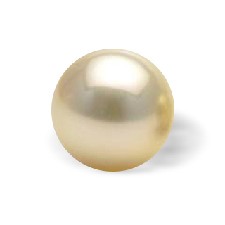 South Sea Pearl Icon